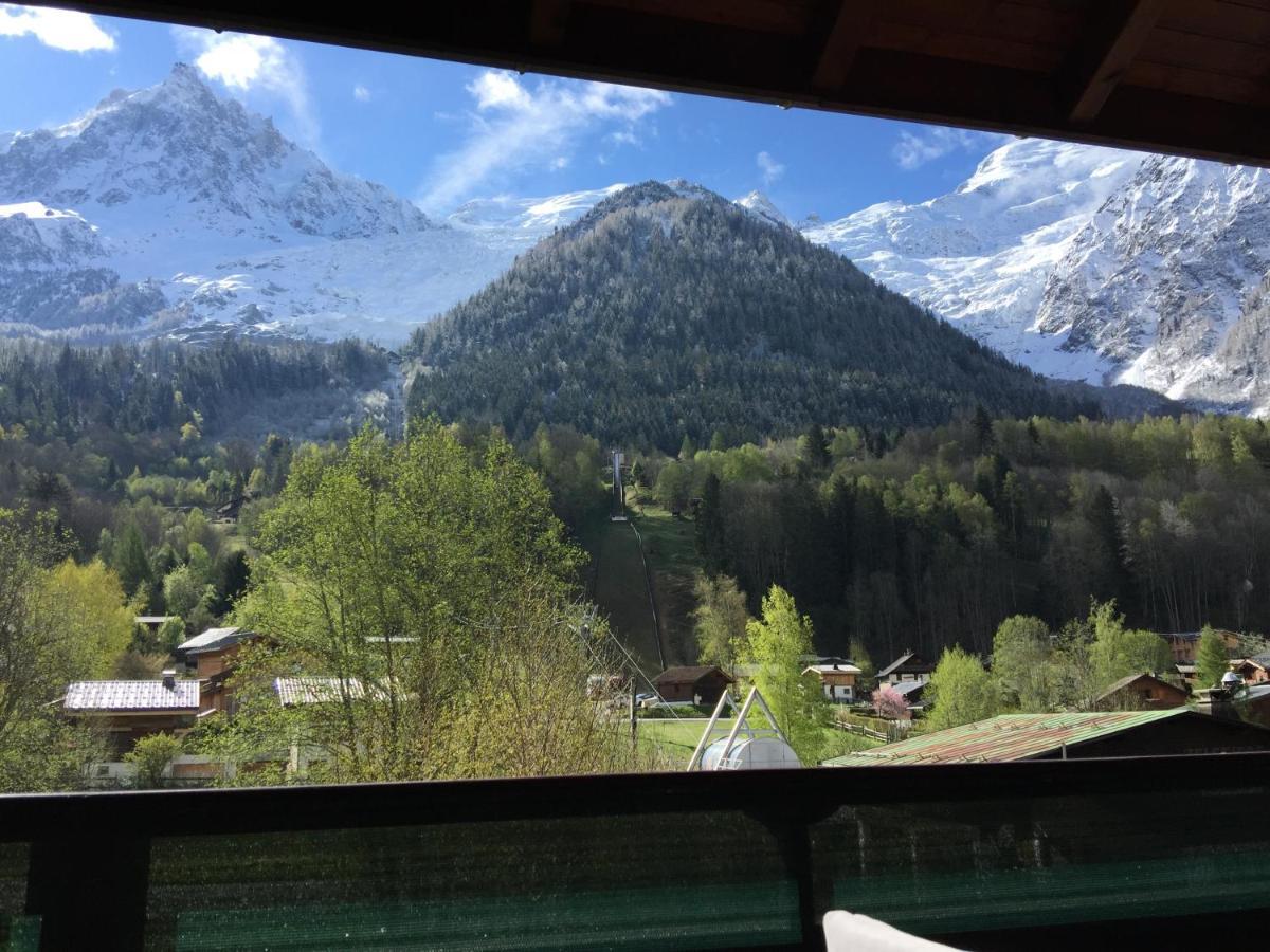 Appartement Face Au Mont Blanc & Glaciers シャモニー エクステリア 写真