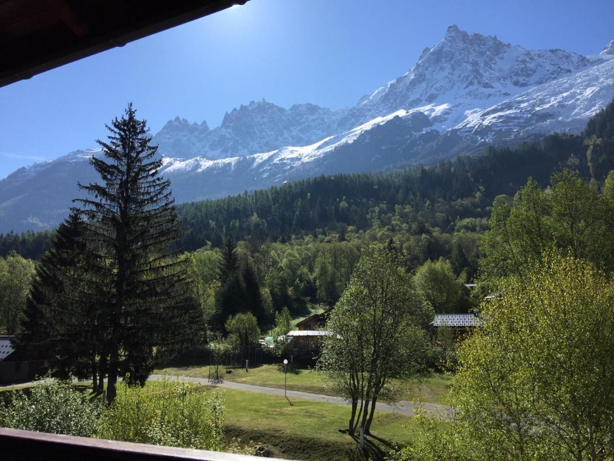 Appartement Face Au Mont Blanc & Glaciers シャモニー エクステリア 写真