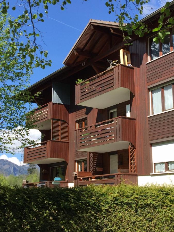 Appartement Face Au Mont Blanc & Glaciers シャモニー エクステリア 写真