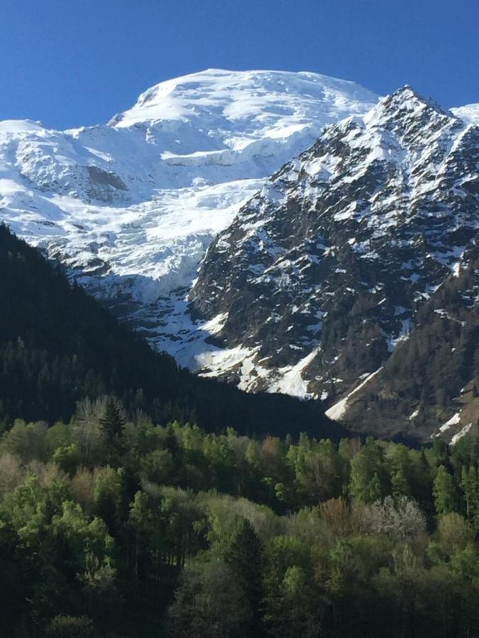 Appartement Face Au Mont Blanc & Glaciers シャモニー エクステリア 写真